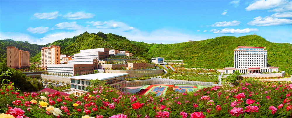 三季有花、四季常青的金徽礦區(qū)-p2.jpg