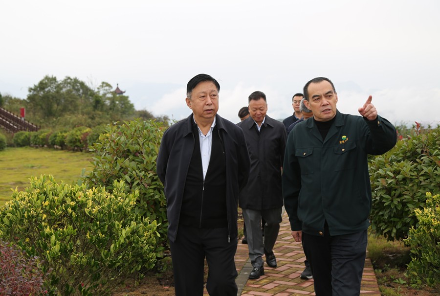 19-2021年10月，原國土資源部副部長汪民蒞臨公司調(diào)研。.jpg