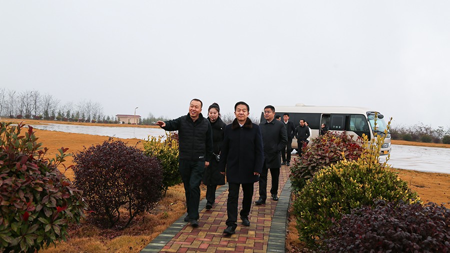 45-2020年12月，省高級人民法院黨組成員、副院長任建國蒞臨金徽股份調(diào)研知識產(chǎn)權(quán)司法保護工作。.jpg